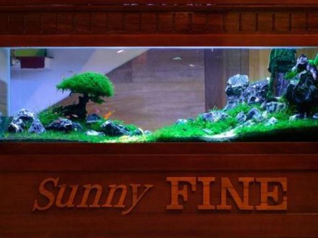 Sunny Fine Guesthouse Hue Exterior foto